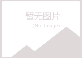 上海字迹采矿有限公司